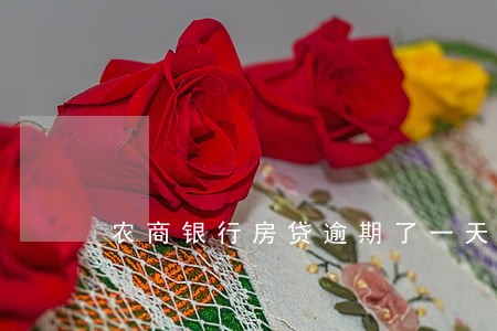 农商银行房贷逾期了一天 农商银行房贷逾期了一天