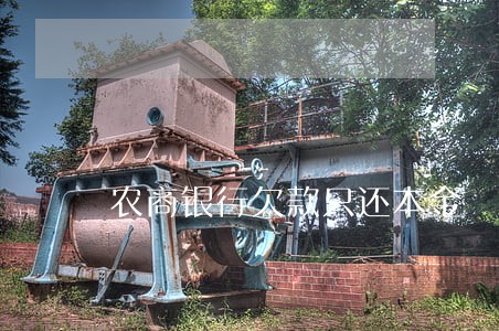 农商银行欠款只还本金 农商银行欠款只还本金