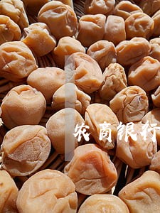 农商银行贷款本金逾期 农商银行贷款本金逾期