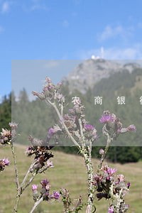 农商银行贷款逾期1年