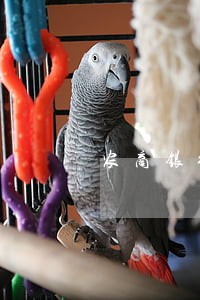 农商银行贷款逾期了几块钱 农商银行贷款逾期了几块钱