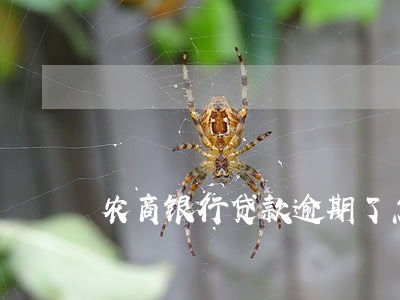 农商银行贷款逾期了怎么办 农商银行贷款逾期了怎么办