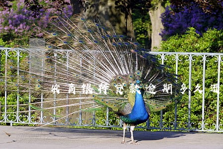 农商银行贷款逾期多久进表外 农商银行贷款逾期多久进表外
