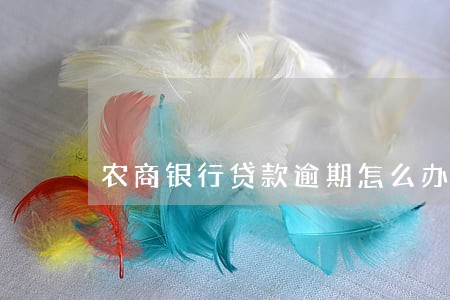 农商银行贷款逾期怎么办 农商银行贷款逾期怎么办