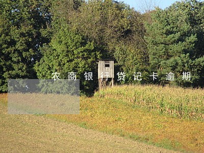 农商银行贷记卡逾期 农商银行贷记卡逾期