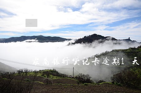 农商银行贷记卡逾期1天有影响吗 农商银行贷记卡逾期1天有影响吗