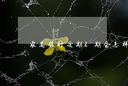 农商银行逾期2期会怎样 农商银行逾期2期会怎样