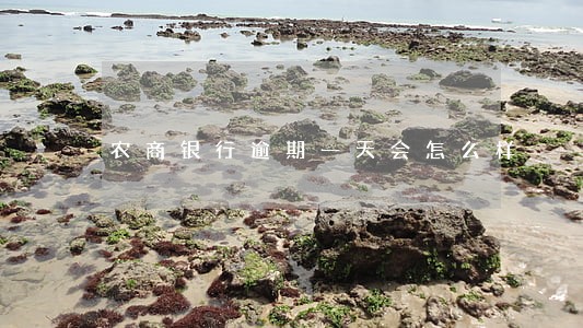 农商银行逾期一天会怎么样 农商银行逾期一天会怎么样