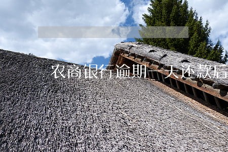 农商银行逾期一天还款后果 农商银行逾期一天还款后果