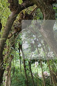 农商银行逾期会上门吗 农商银行逾期会上门吗