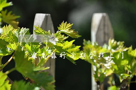 农商银行逾期会找上门 农商银行逾期会找上门