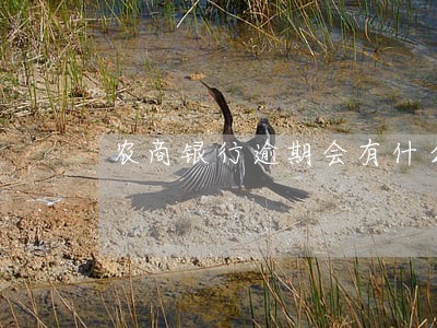 农商银行逾期会有什么后果 农商银行逾期会有什么后果