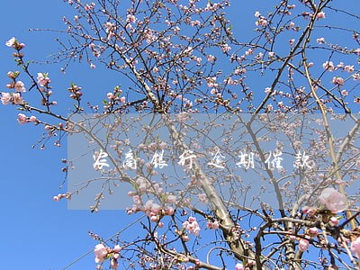 农商银行逾期催款