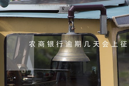 农商银行逾期几天会上征信吗
