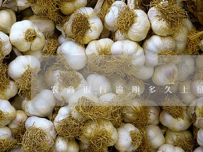 农商银行逾期多久上征信 农商银行逾期多久上征信