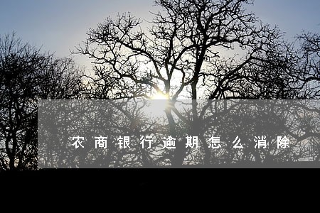 农商银行逾期怎么消除