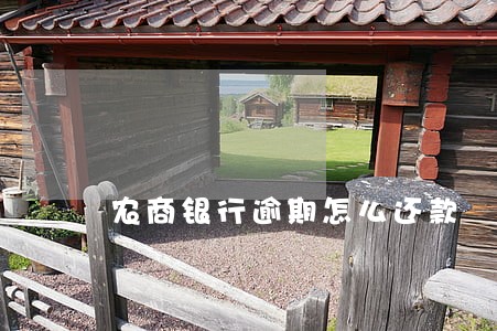 农商银行逾期怎么还款 农商银行逾期怎么还款