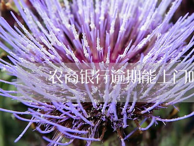 农商银行逾期能上门吗 农商银行逾期能上门吗