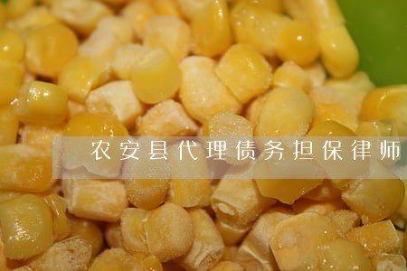 农安县代理债务担保律师 农安县代理债务担保律师