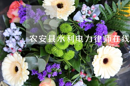 农安县水利电力律师在线免费咨询 农安县水利电力律师在线免费咨询