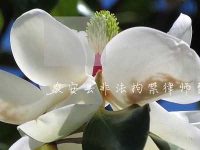 农安县非法拘禁律师费用多少 农安县非法拘禁律师费用多少