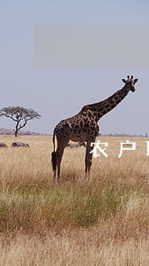 农户联保贷款逾期两年 农户联保贷款逾期两年