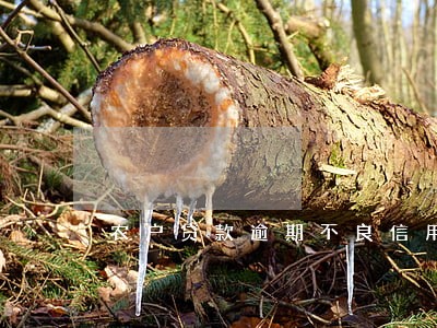 农户贷款逾期不良信用记录 农户贷款逾期不良信用记录