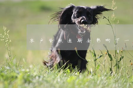 农户贷款逾期会影响下一代吗 农户贷款逾期会影响下一代吗