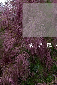 农户银行贷款逾期原因 农户银行贷款逾期原因