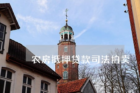 农房抵押贷款司法拍卖 农房抵押贷款司法拍卖