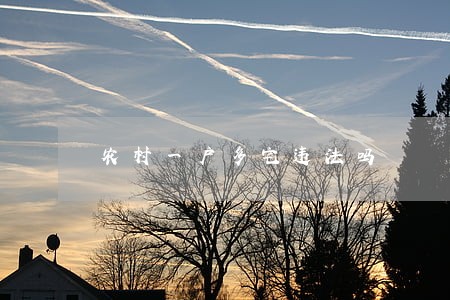 农村一户多宅违法吗 农村一户多宅违法吗