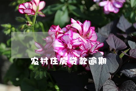 农村住房贷款逾期