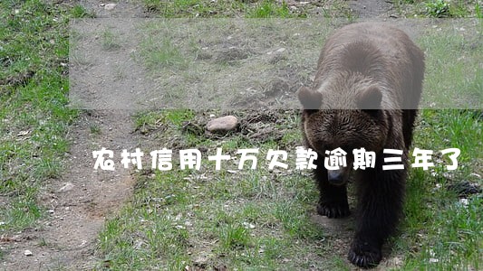 农村信用十万欠款逾期三年了 农村信用十万欠款逾期三年了