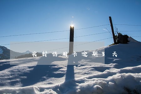 农村信用卡逾期3天