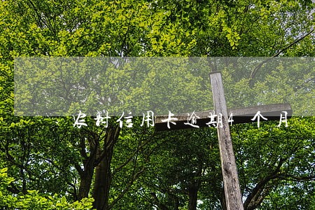 农村信用卡逾期4个月