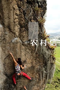 农村信用卡逾期会影响征信 农村信用卡逾期会影响征信