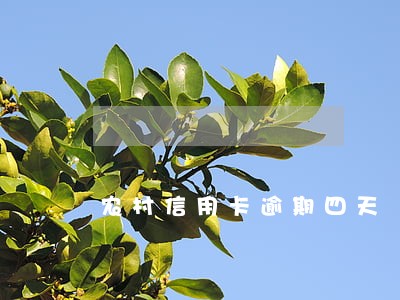 农村信用卡逾期四天 农村信用卡逾期四天