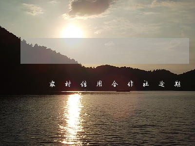 农村信用合作社逾期