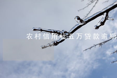 农村信用社五万贷款逾期8天 农村信用社五万贷款逾期8天