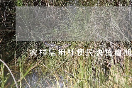 农村信用社便民快贷逾期一天
