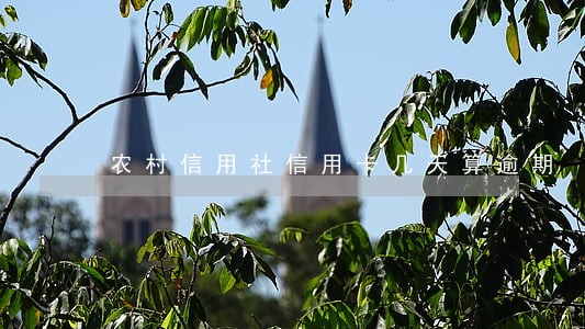 农村信用社信用卡几天算逾期