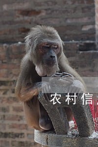 农村信用社信用卡账单逾期 农村信用社信用卡账单逾期