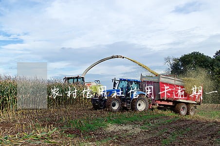 农村信用社信用卡逾期一个月 农村信用社信用卡逾期一个月