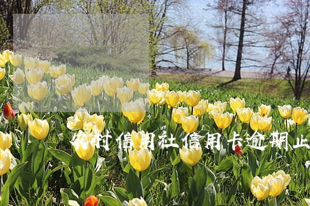 农村信用社信用卡逾期止付 农村信用社信用卡逾期止付