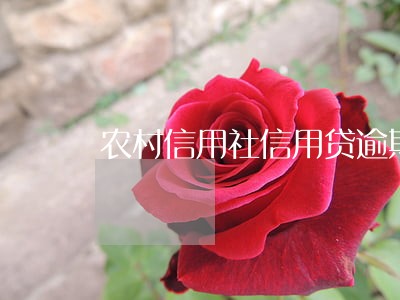 农村信用社信用贷逾期