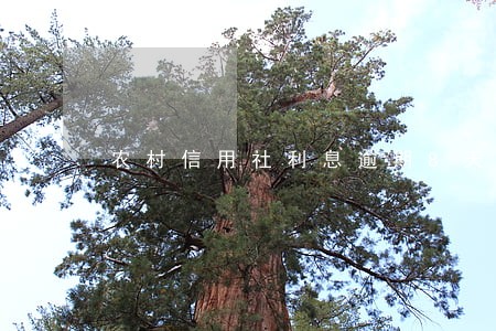 农村信用社利息逾期8天 农村信用社利息逾期8天