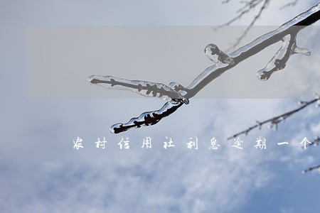 农村信用社利息逾期一个星期 农村信用社利息逾期一个星期
