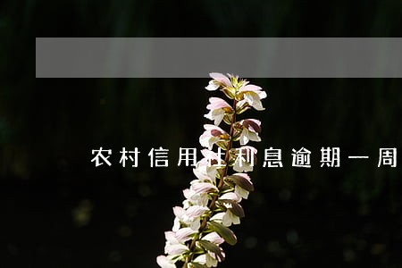 农村信用社利息逾期一周 农村信用社利息逾期一周