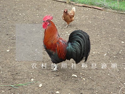 农村信用社利息逾期三个月 农村信用社利息逾期三个月