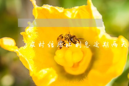 农村信用社利息逾期两天怎么还 农村信用社利息逾期两天怎么还